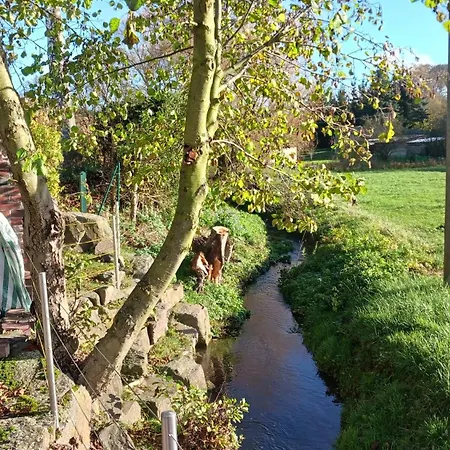 Am Bach Miehlen